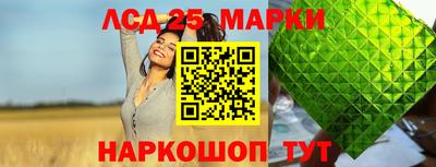 соль ск Бердск