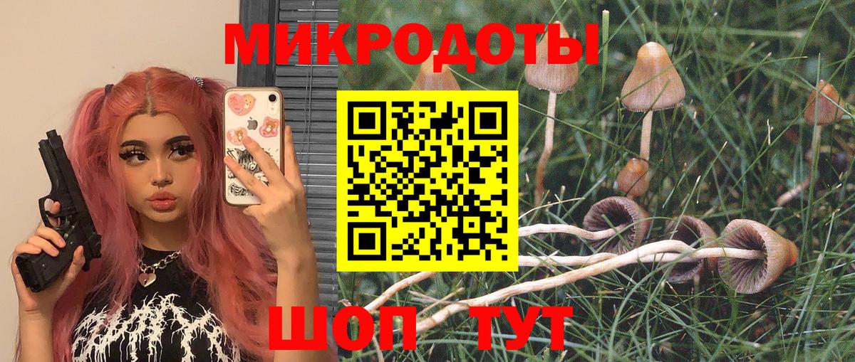 Галлюциногенные грибы Psilocybe  Вход с VPN  Белебей 