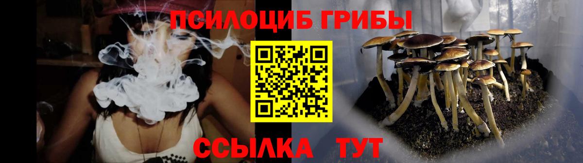 Псилоцибиновые грибы прущие грибы Белебей